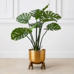 Nikki Chu - Jaguar Planter -LOVESE Furniture Shop 122424803 71996.1690292789.386.513