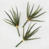 Faux Snake Grass Pick - Set Of 3