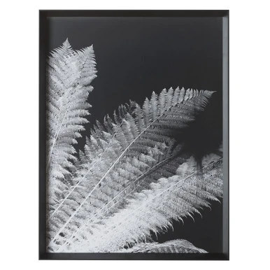 Tropical Palm Duo 2 Tropical Palm Duo - Image 2