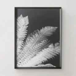 Tropical Palm Duo 5 Tropical Palm Duo -LOVESE Furniture Shop 725117530 56886.1690292284.386.513 2