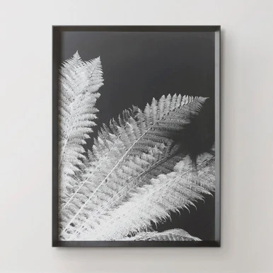 Tropical Palm Duo 3 Tropical Palm Duo - Image 3