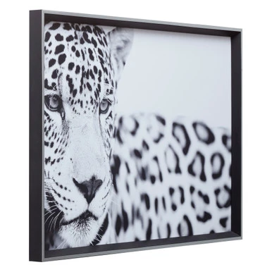 Majestic Calm 1 Majestic Calm