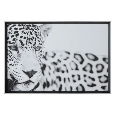 Majestic Calm 2 Majestic Calm - Image 2