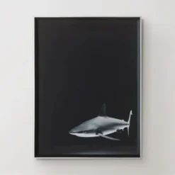 Silence In The Deep -LOVESE Furniture Shop 725159654 37014.1690292287.386.513