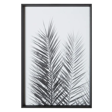 Palm Crisp 2 Palm Crisp - Image 2