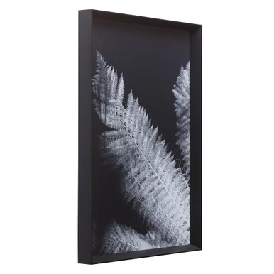 Tropical Palm Duet 1 Tropical Palm Duet