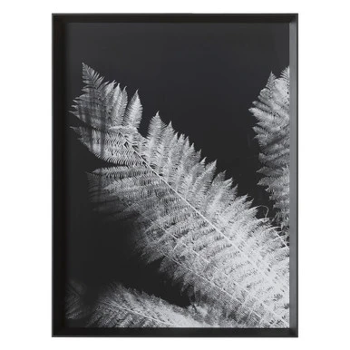 Tropical Palm Duet 2 Tropical Palm Duet - Image 2