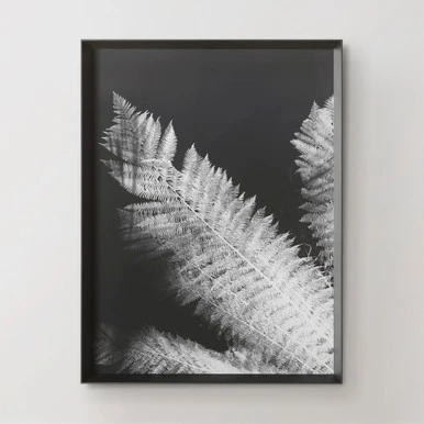 Tropical Palm Duet 3 Tropical Palm Duet - Image 3