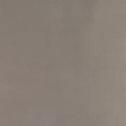 Camelia Accent Chair -LOVESE Furniture Shop webimage 013998913 DTL