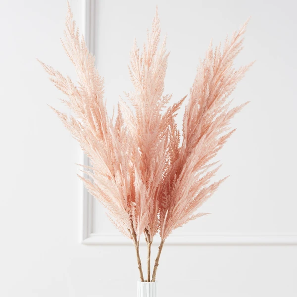 Pampas Grass - Set Of 3 1 Pampas Grass - Set Of 3