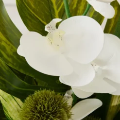 Phalaenopsis Leaf In Glass -LOVESE Furniture Shop webimage 168192665 dtl2 1