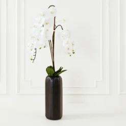Nikki Chu - Orchid In Black Vase