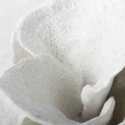 Coral Bookends -LOVESE Furniture Shop webimage 186978354 2 jpg 3