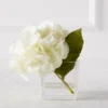 Hydrangea In Glass Vase