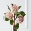 Protea Queen Spray - Set Of 3