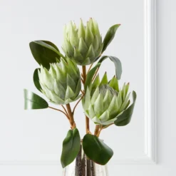 Protea Queen Spray - Set Of 3