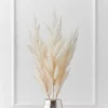 Pampas Grass - Set Of 3