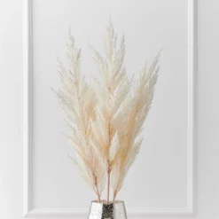 Pampas Grass - Set Of 3