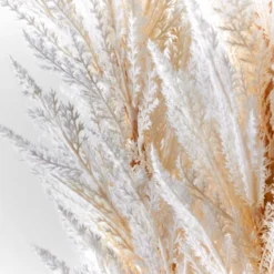 LOVESE Furniture Shop -LOVESE Furniture Shop webimage 200204424 1 jpg