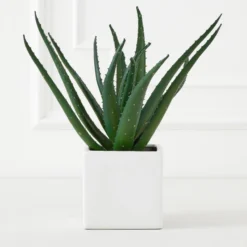 Faux Aloe Plant