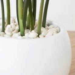 Faux Potted Water Canna -LOVESE Furniture Shop webimage 207190249 dtl1