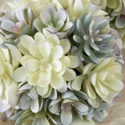 Faux Succulent Sphere -LOVESE Furniture Shop webimage 207191139 DTL