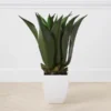 Faux Agave Bush With Square Pot