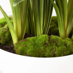 Faux Potted Agapanthus -LOVESE Furniture Shop webimage 207919623 dtl2 1