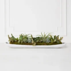 Succulent Assortment In Wood Tray