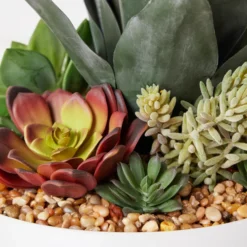 Succulent Assortment In Bowl -LOVESE Furniture Shop webimage 207999711 dtl 1