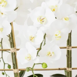 Orchid Trio With Granite Slab -LOVESE Furniture Shop webimage 207999715 dtl2