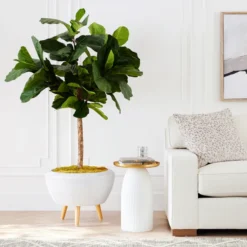Fiddle Leaf Tree In Bowl -LOVESE Furniture Shop webimage 207999719 alt6 DSI FIDDLE LEAF IN WHITE POT rv
