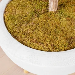 Fiddle Leaf Tree In Bowl -LOVESE Furniture Shop webimage 207999719 dtl2