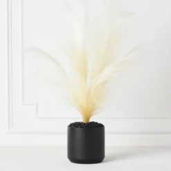 Plume In Kendall Pot