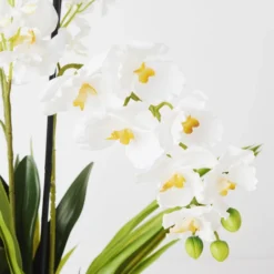 Orchids In Glass Bowl 34 Orchids In Glass Bowl -LOVESE Furniture Shop webimage 207999723 dtl1 1