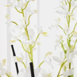 Orchids In Glass Bowl 35 Orchids In Glass Bowl -LOVESE Furniture Shop webimage 207999723 dtl2