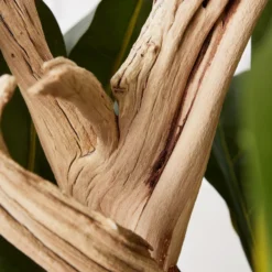 Fiddle Leaf Branches In Bowl 6 Fiddle Leaf Branches In Bowl -LOVESE Furniture Shop webimage 207999724 dtl1