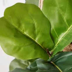 Fiddle Leaf Branches In Bowl -LOVESE Furniture Shop webimage 207999724 dtl2 1
