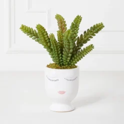 Selfie Succulents In Face Planter