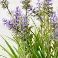 Lavender In Grey Pot -LOVESE Furniture Shop webimage 207999958 dtl2 1