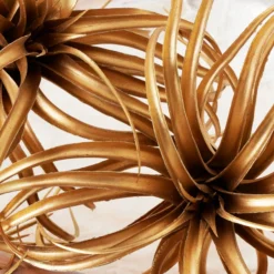 Faux Air Plant -LOVESE Furniture Shop webimage 209168339 DTL