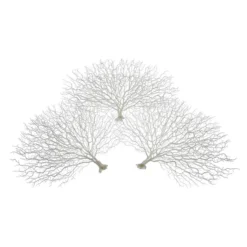 Faux Coral Fan - Set Of 3