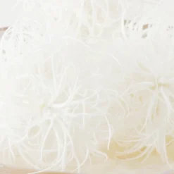 Faux Airplant Sphere -LOVESE Furniture Shop webimage 209193636 DTL 1