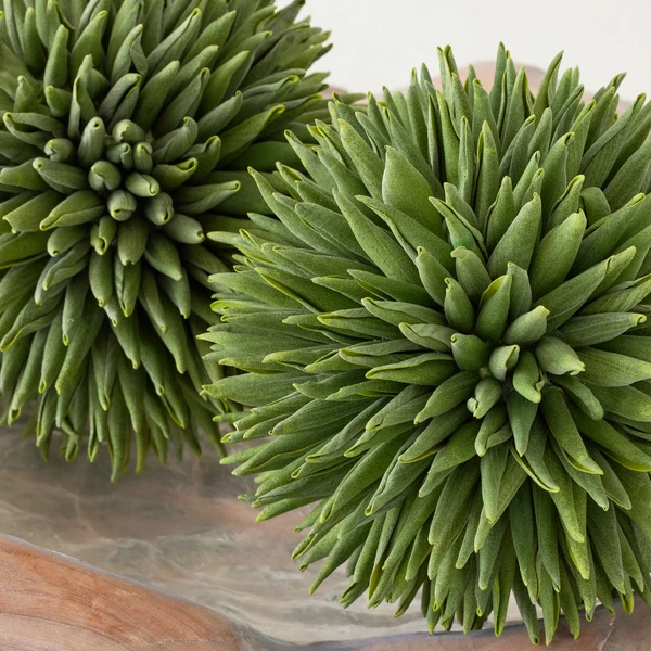 Faux Allium Sphere 3 Faux Allium Sphere - Image 3