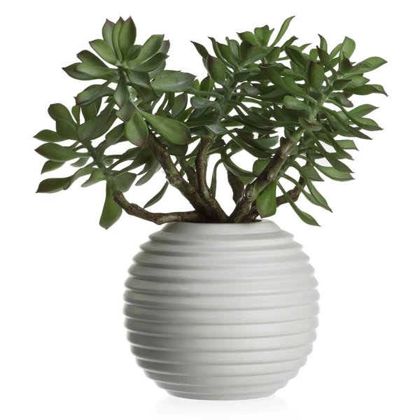 Faux Sedum Succulent Pick - Set Of 3 1 Faux Sedum Succulent Pick - Set Of 3