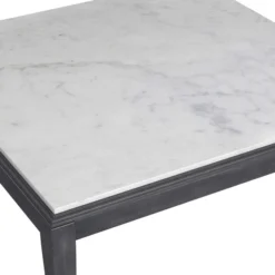Finnian Coffee Table -LOVESE Furniture Shop webimage 600248011 DTL