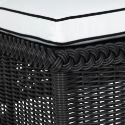 Emilia Ebony Chaise - White/Black 18 Emilia Ebony Chaise - White/Black -LOVESE Furniture Shop webimage 605771859 DTL