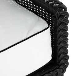 Emilia Ebony Lounge Chair - White/Black -LOVESE Furniture Shop webimage 605808992 DTL1