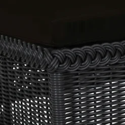 Emilia Ebony Chaise - Black 17 Emilia Ebony Chaise - Black -LOVESE Furniture Shop webimage 605911609 DTL2