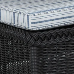 Emilia Ebony Chaise - Linen Indigo Stripe 16 Emilia Ebony Chaise - Linen Indigo Stripe -LOVESE Furniture Shop webimage 605927553 DTL